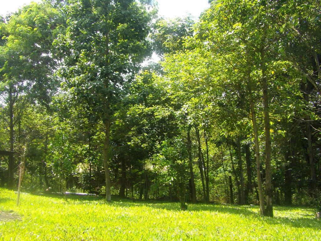Voces De La Selva Misionera Villa Puerto Iguazu Exterior photo